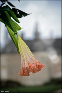 Schloss Lembeck   20.jpg