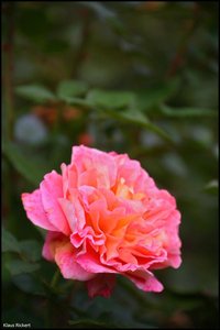 Schloss Lembeck   26.jpg