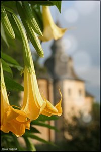 Schloss Lembeck   30.jpg