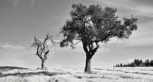 bf_DP3M0081 Kopie.jpg