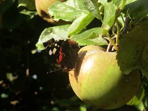 Bild10.JPG Bild10.JPG