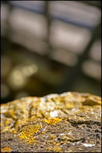 Burg Vischering 17.jpg Burg Vischering 17.jpg