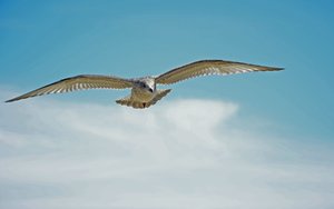 comp_DSC_0124 Kopie.jpg