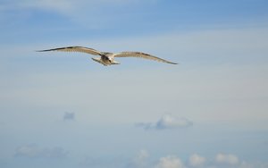 comp_DSC_0185 Kopie.jpg