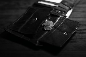 Just my 2 ct DSC06243 SEP (c) PPf.jpg