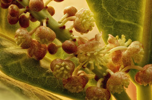 Stack 01 - fertig 01-BF.jpg Stack 01 - fertig 01-BF.jpg