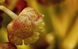 Stack 01 - fertig MF.jpg Stack 01 - fertig MF.jpg