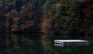 comp_DSC04771 (3).jpg