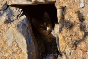 DSC_4487_ji_c.jpg DSC_4487_ji_c.jpg