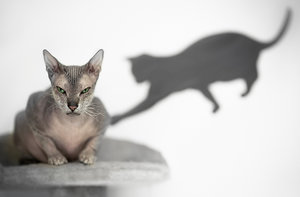 20131019-139 bearb-.jpg