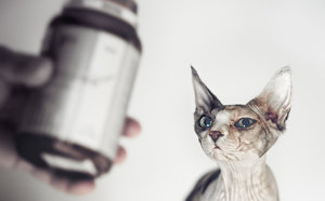 20131019-059-7 bearb..jpg