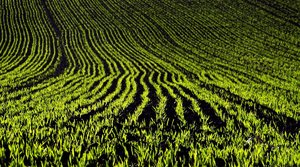 comp_DSC04858-2.jpg comp_DSC04858-2.jpg