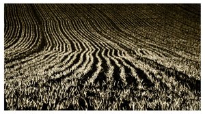 comp_DSC04858-3.jpg comp_DSC04858-3.jpg