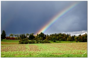 comp_Regenbogen.jpg