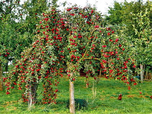 IMG_1009 Kopie_Bildgröße ändern.jpg