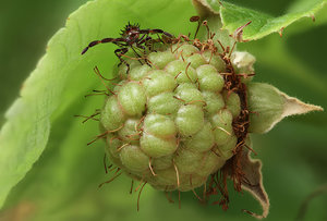 11 Stack 03 - klein.jpg