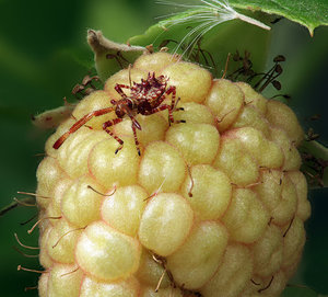 10 Stack 02 - klein.jpg