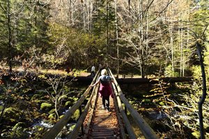 C_DSC5186.jpg C_DSC5186.jpg