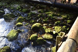 C_DSC5188.jpg C_DSC5188.jpg