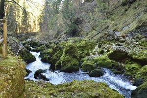 C_DSC5219.jpg C_DSC5219.jpg