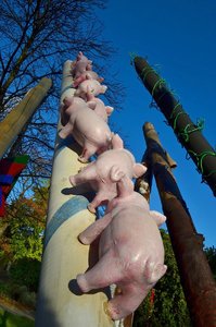 DSC_4922_ji_c.jpg DSC_4922_ji_c.jpg