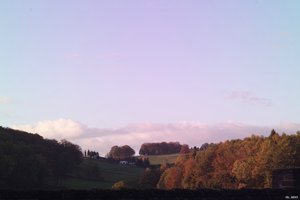 500k_SDIM7096.jpg 500k_SDIM7096.jpg