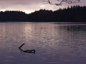 comp_DSC05014 (2).jpg