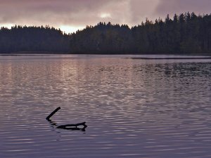 comp_comp_DSC05014 (2).jpg