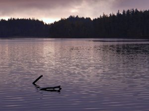 comp_DSC05014 (2).jpg