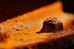 BF_SDIM4282 Kopie.jpg