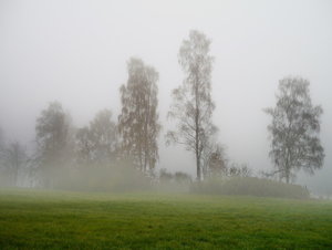 P1010527a.jpg P1010527a.jpg