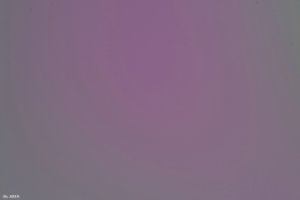 500k_SDIM7117.jpg 500k_SDIM7117.jpg