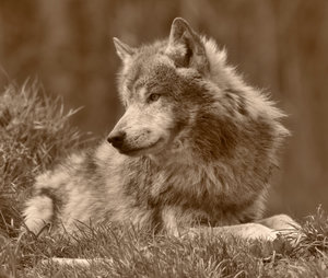 comp_DSC_6967 Kopie-22.jpg