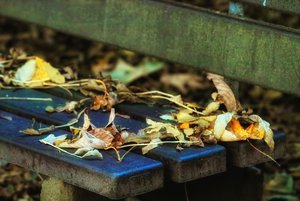 autumn IMG03567 ni (c) PPf.jpg