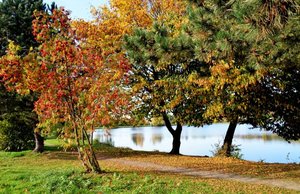 DSC_8417,-Sonnensee,-web-2 (Small).jpg