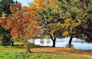 klein DSC_8417, Sonnensee, web pitt (c) PPf.jpg