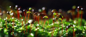 IMG_9088.JPG IMG_9088.JPG