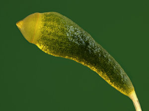 Stack 02-fertig.jpg Stack 02-fertig.jpg