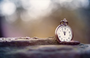 20121230-039-2 bearb..jpg