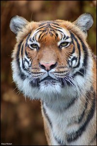 Photo- 1.jpg Photo- 1.jpg