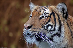 Photo- 3.jpg Photo- 3.jpg