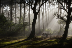 GRA_20130908_7D_5863_sm.jpg GRA_20130908_7D_5863_sm.jpg