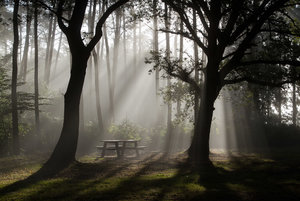 GRA_20130908_7D_5864_sm.jpg GRA_20130908_7D_5864_sm.jpg