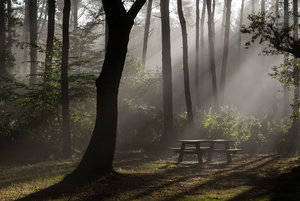 GRA_20130908_7D_5866_sm.jpg GRA_20130908_7D_5866_sm.jpg