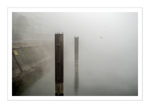 bcp_1311261040DSCF6455.jpg bcp_1311261040DSCF6455.jpg