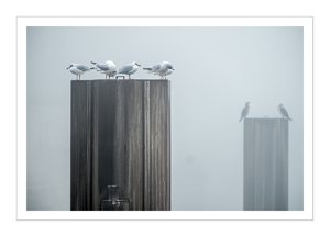 bcp_1311261040DSCF6459.jpg bcp_1311261040DSCF6459.jpg