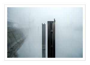 bcp_1311261126DSCF6563.jpg bcp_1311261126DSCF6563.jpg