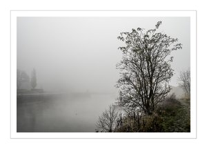 bcp_1311261109DSCF6524.jpg bcp_1311261109DSCF6524.jpg