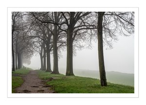 bcp_1311261118DSCF6535.jpg bcp_1311261118DSCF6535.jpg