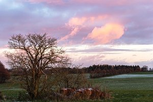 _MG_6251_ji.jpg _MG_6251_ji.jpg